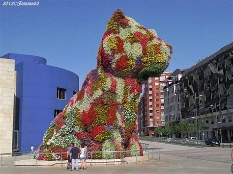  El Museo de la Entomológica: Un Tesoro Escondido para los Amantes de los Insectos en Wolaita Sodo!