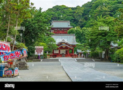 ¿El Santuario Tsurugaoka Hachimangu: Un Tesoro Histórico y Espiritual en la Ciudad de Kamakura?